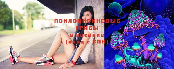 эйфоретик Алексин