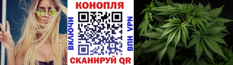 Каннабис OG Kush  где продают   Астрахань 